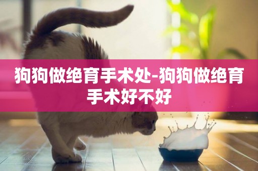 狗狗做絕育手術處-狗狗做絕育手術好不好