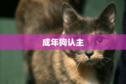 成年狗認主