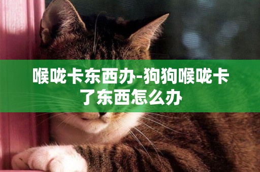 喉嚨卡東西辦-狗狗喉嚨卡了東西怎么辦
