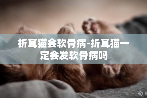 折耳貓會軟骨病-折耳貓一定會發軟骨病嗎
