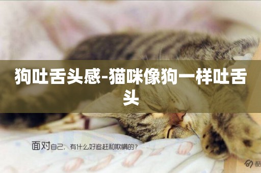 狗吐舌頭感-貓咪像狗一樣吐舌頭