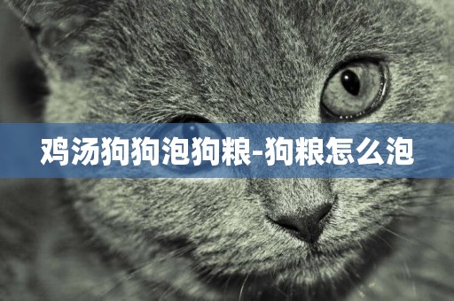 雞湯狗狗泡狗糧-狗糧怎么泡