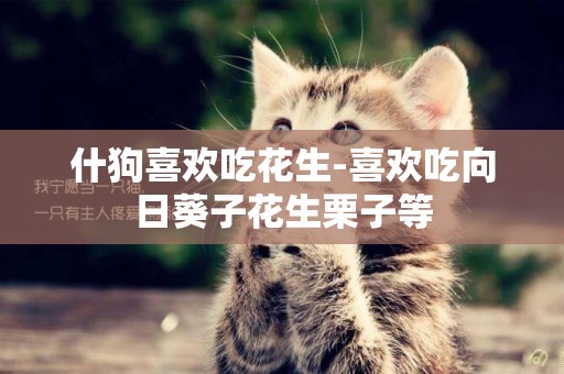 什狗喜歡吃花生-喜歡吃向日葵子花生栗子等