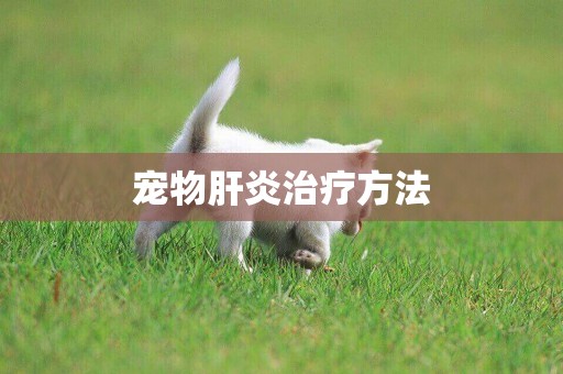 寵物肝炎治療方法