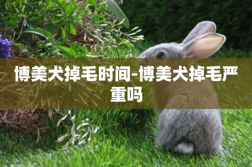 博美犬掉毛時間-博美犬掉毛嚴重嗎