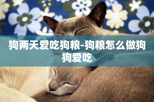 狗兩天愛吃狗糧-狗糧怎么做狗狗愛吃