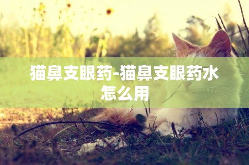 貓鼻支眼藥-貓鼻支眼藥水怎么用
