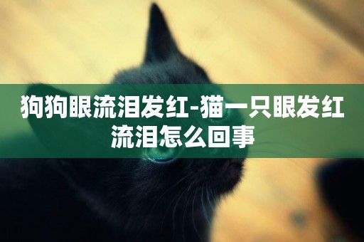 狗狗眼流淚發紅-貓一只眼發紅流淚怎么回事