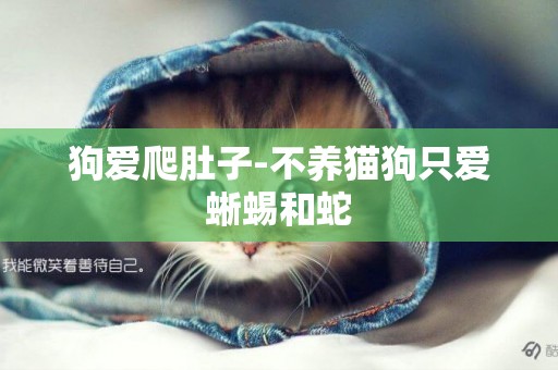 狗愛爬肚子-不養貓狗只愛蜥蜴和蛇