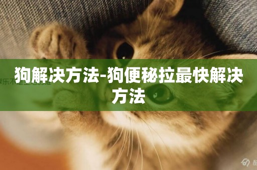 狗解決方法-狗便秘拉最快解決方法