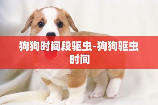 狗狗時間段驅蟲-狗狗驅蟲時間