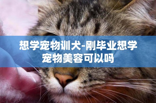 想學寵物訓犬-剛畢業想學寵物美容可以嗎