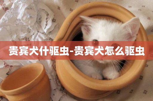 貴賓犬什驅蟲-貴賓犬怎么驅蟲