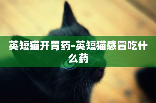 英短貓開胃藥-英短貓感冒吃什么藥