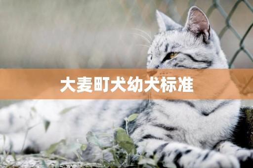 大麥町犬幼犬標準
