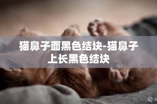 貓鼻子面黑色結塊-貓鼻子上長黑色結塊