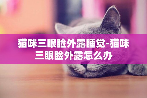 貓咪三眼瞼外露睡覺-貓咪三眼瞼外露怎么辦