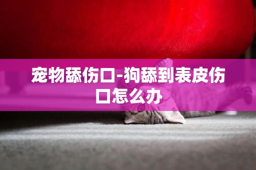 寵物舔傷口-狗舔到表皮傷口怎么辦