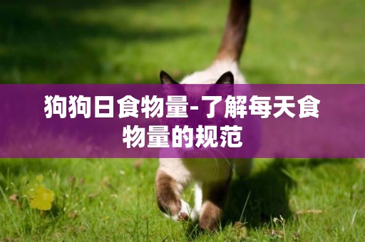 狗狗日食物量-了解每天食物量的規范