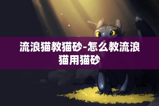 流浪貓教貓砂-怎么教流浪貓用貓砂