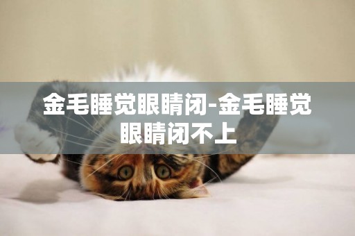 金毛睡覺眼睛閉-金毛睡覺眼睛閉不上
