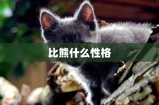 比熊什么性格