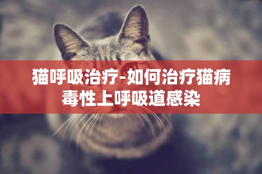 貓呼吸治療-如何治療貓病毒性上呼吸道感染