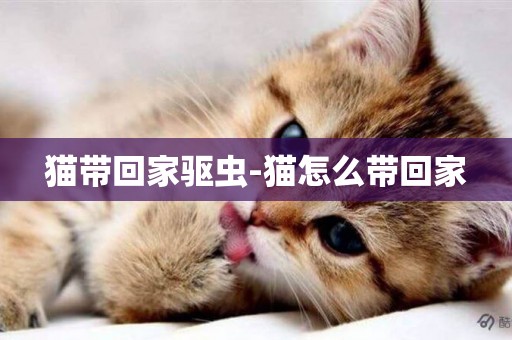 貓帶回家驅蟲-貓怎么帶回家