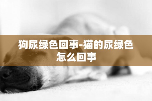 狗尿綠色回事-貓的尿綠色怎么回事