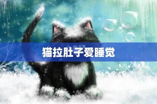 貓拉肚子愛睡覺