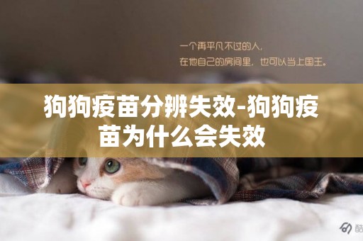 狗狗疫苗分辨失效-狗狗疫苗為什么會失效