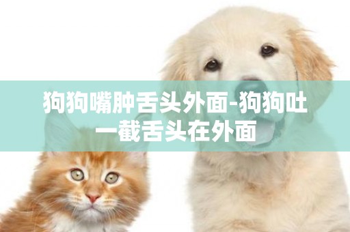 狗狗嘴腫舌頭外面-狗狗吐一截舌頭在外面