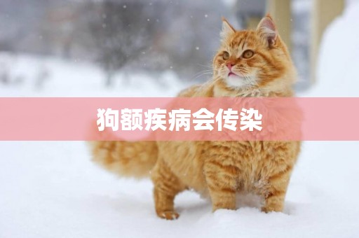 狗額疾病會傳染