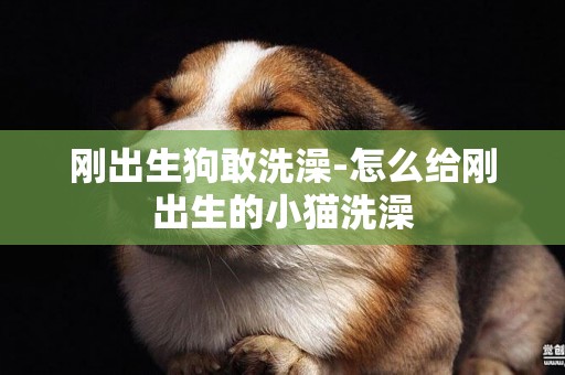 剛出生狗敢洗澡-怎么給剛出生的小貓洗澡
