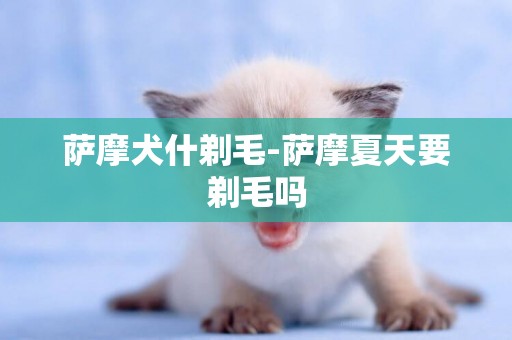 薩摩犬什剃毛-薩摩夏天要剃毛嗎