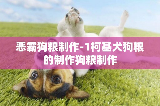 惡霸狗糧制作-1柯基犬狗糧的制作狗糧制作
