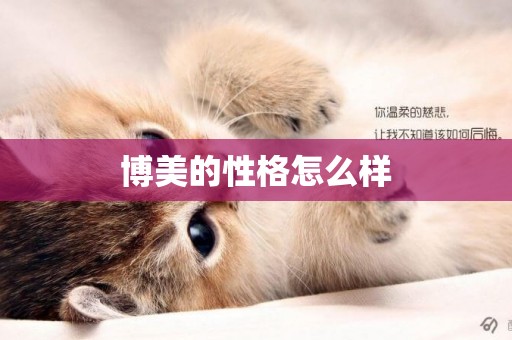 博美的性格怎么樣