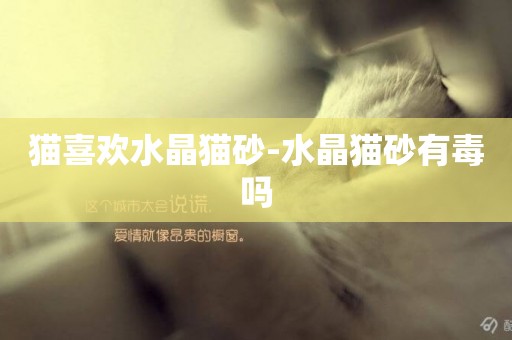 貓喜歡水晶貓砂-水晶貓砂有毒嗎