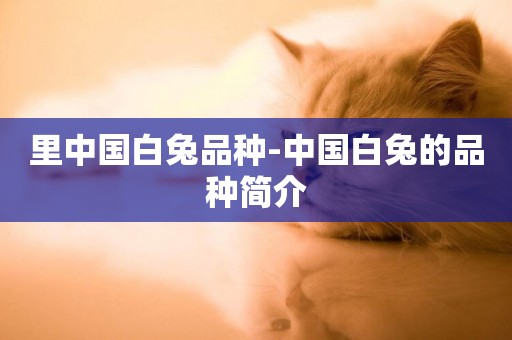 里中國白兔品種-中國白兔的品種簡介