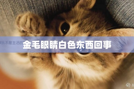 金毛眼睛白色東西回事