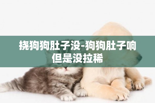 撓狗狗肚子沒-狗狗肚子響但是沒拉稀