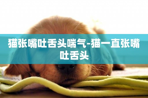 貓張嘴吐舌頭喘氣-貓一直張嘴吐舌頭
