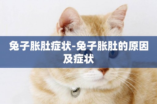 兔子脹肚癥狀-兔子脹肚的原因及癥狀