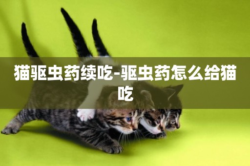 貓驅蟲藥續吃-驅蟲藥怎么給貓吃