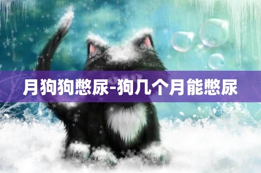 月狗狗憋尿-狗幾個月能憋尿