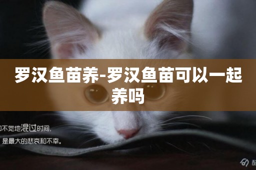 羅漢魚苗養-羅漢魚苗可以一起養嗎