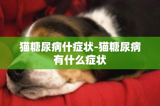 貓糖尿病什癥狀-貓糖尿病有什么癥狀