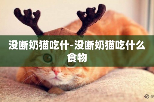 沒斷奶貓吃什-沒斷奶貓吃什么食物
