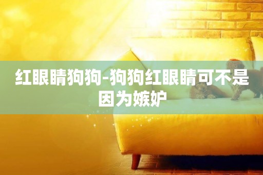 紅眼睛狗狗-狗狗紅眼睛可不是因為嫉妒