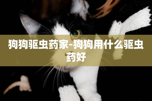 狗狗驅蟲藥家-狗狗用什么驅蟲藥好